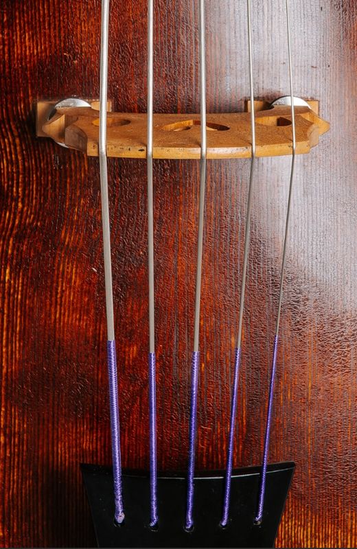 Thomastik-Infeld - Peter Infeld Orchestra