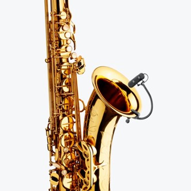 Hovedbilde DPA d:vote 4099 clip mic for sax