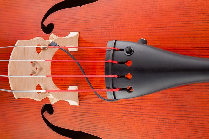 Hovedbilde KNA DB-1 Pickup (Double bass)
