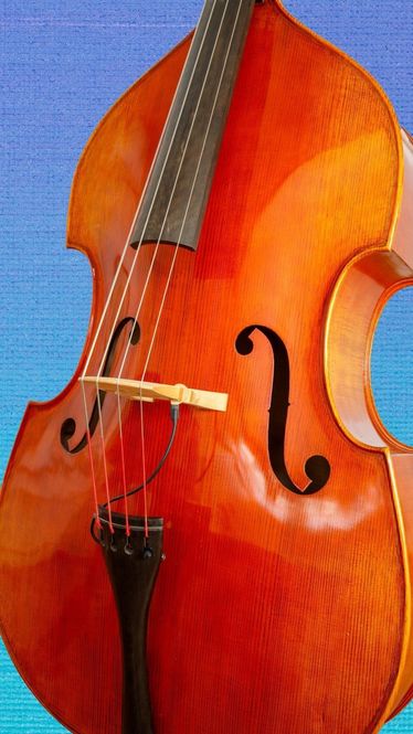 Hovedbilde KNA DB-1 Pickup (Double bass)
