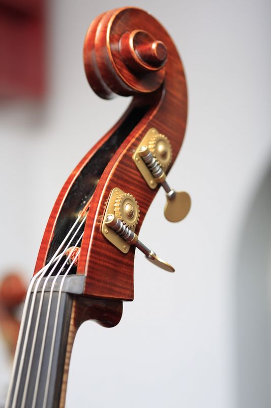 GYL 3/4 kontrabass, 5-strenger