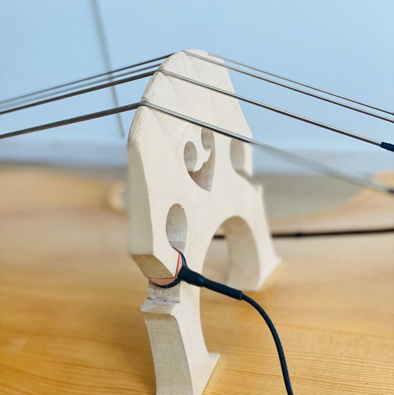 Planet Wing Bass Pickup - Bassanova AS