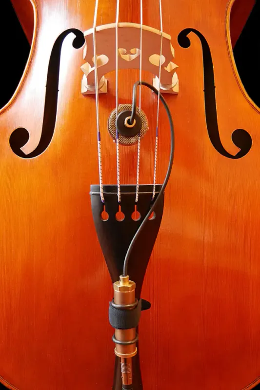 Ear Trumpet Labs - Nadine