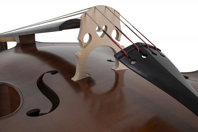 Hovedbilde Gewa Premium Line Semi-Solid model 3/4